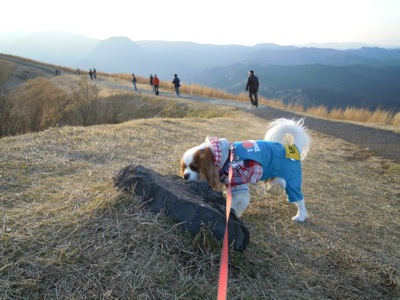 d0044986_7431413.jpg