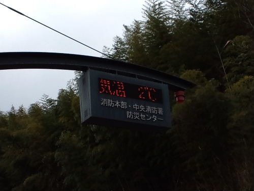 d0070289_1736497.jpg