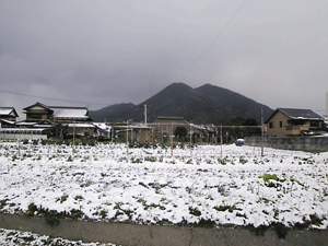 b0174996_21475416.gif