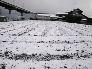 b0174996_2150187.gif