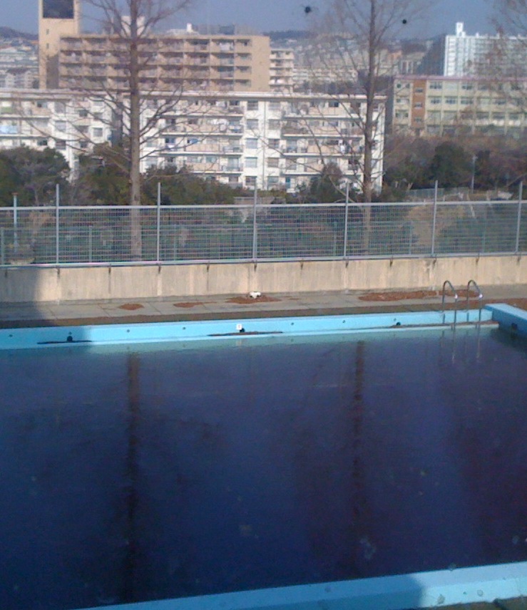 a0145901_2273160.jpg