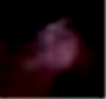 e0103408_1111583.gif