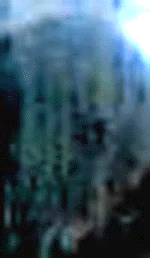 e0103408_11144226.gif