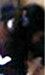 e0103408_11171296.gif