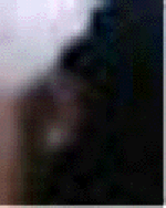 e0103408_119447.gif