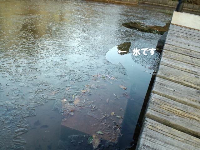 c0185516_11521984.jpg