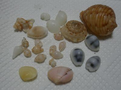 e0175017_23213095.jpg