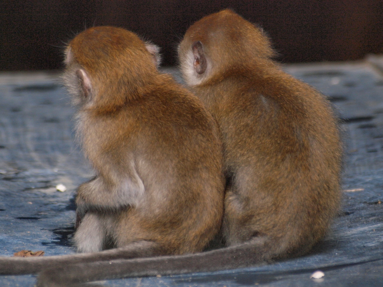 b0168218_1202965.jpg