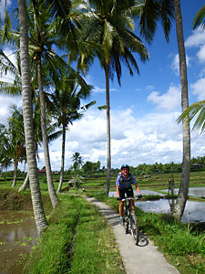 d0023725_22425866.jpg