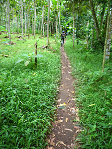d0023725_22431758.jpg