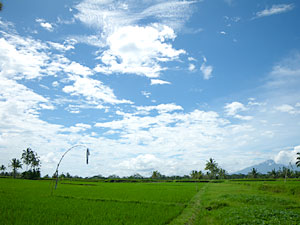 d0023725_22442579.jpg