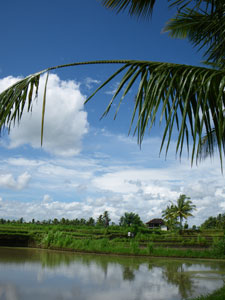 d0023725_22444623.jpg