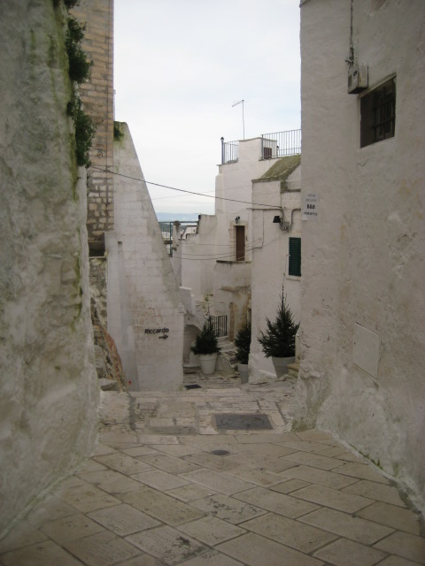 d0147727_19343326.jpg