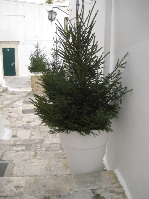 d0147727_19354229.jpg