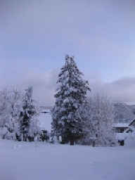 b0116933_10172059.jpg