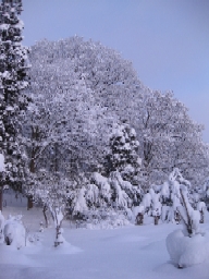 b0116933_10293100.jpg