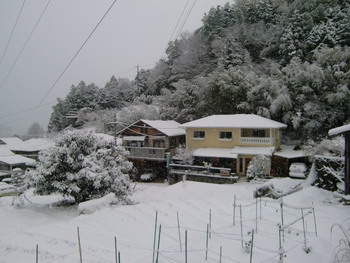 c0183137_21334018.jpg