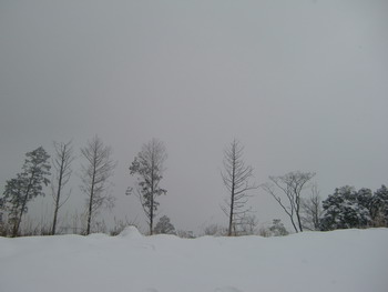 c0183137_2141178.jpg