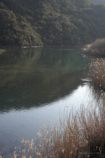 e0083238_22122818.jpg