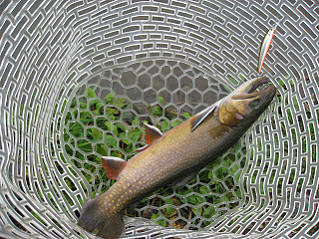 f0065341_110645.jpg