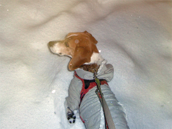 c0086746_120050.jpg