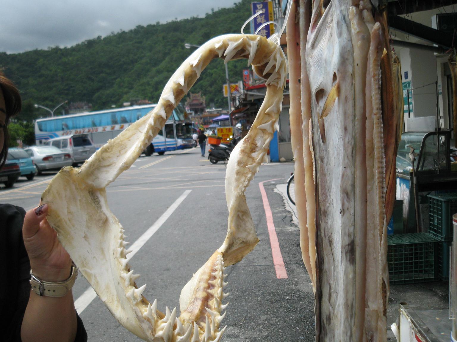 d0110054_0274561.jpg