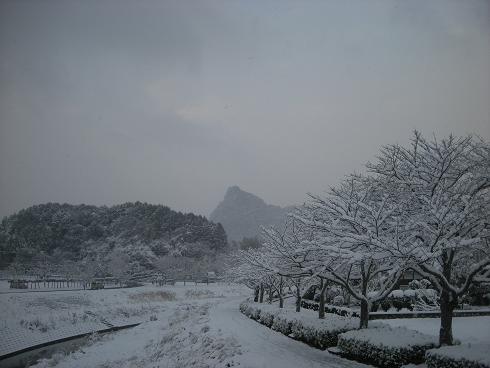 f0160860_2052412.jpg