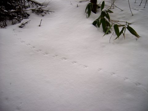 b0130166_12464146.jpg