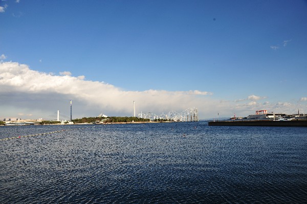 e0020166_2051294.jpg