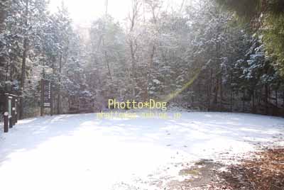 f0206270_23211681.jpg