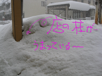 d0050871_10422070.gif