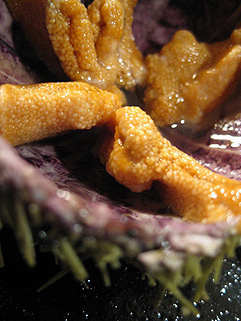 f0056476_16311286.jpg