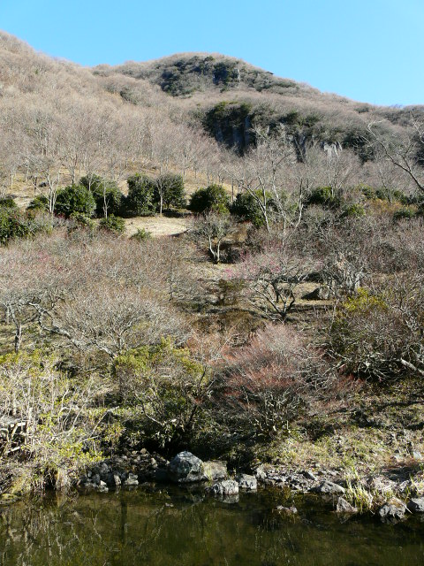 e0145782_14494370.jpg
