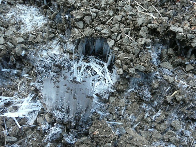 e0145782_1450572.jpg