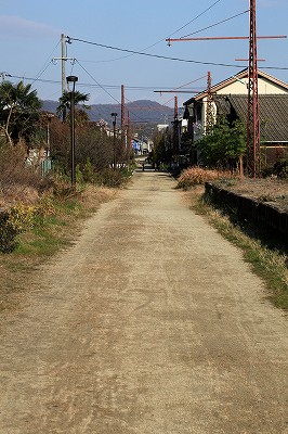 e0190885_2064622.jpg