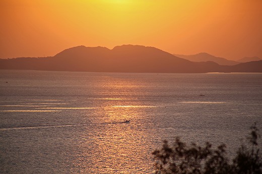 e0190885_2074160.jpg