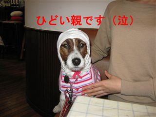 e0121589_2020598.jpg