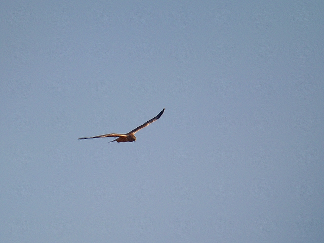 c0213690_325562.jpg