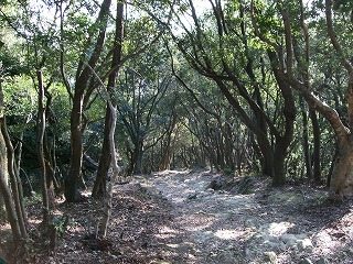 c0055393_9204742.jpg