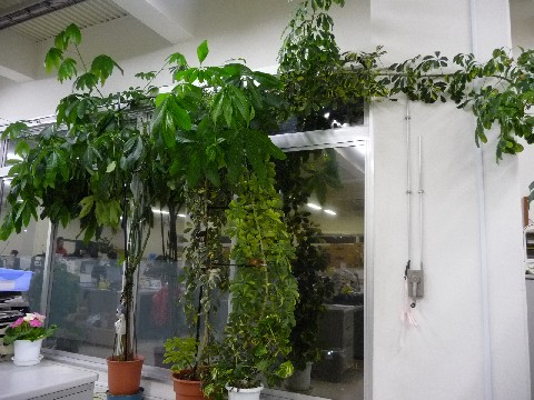 c0108693_23131455.jpg