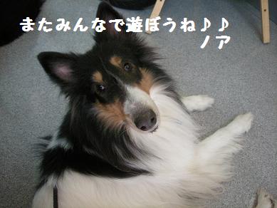 f0081100_162564.jpg