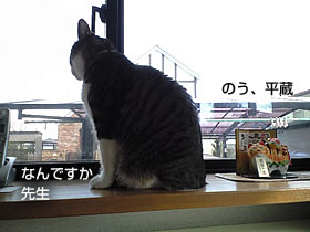 c0035001_15592074.jpg
