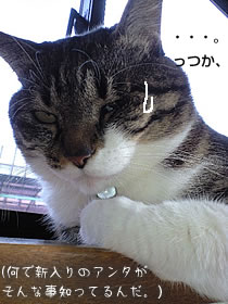 c0035001_160156.jpg