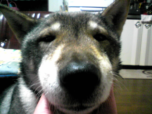 f0079202_23251778.jpg