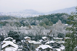 d0137903_141633.jpg