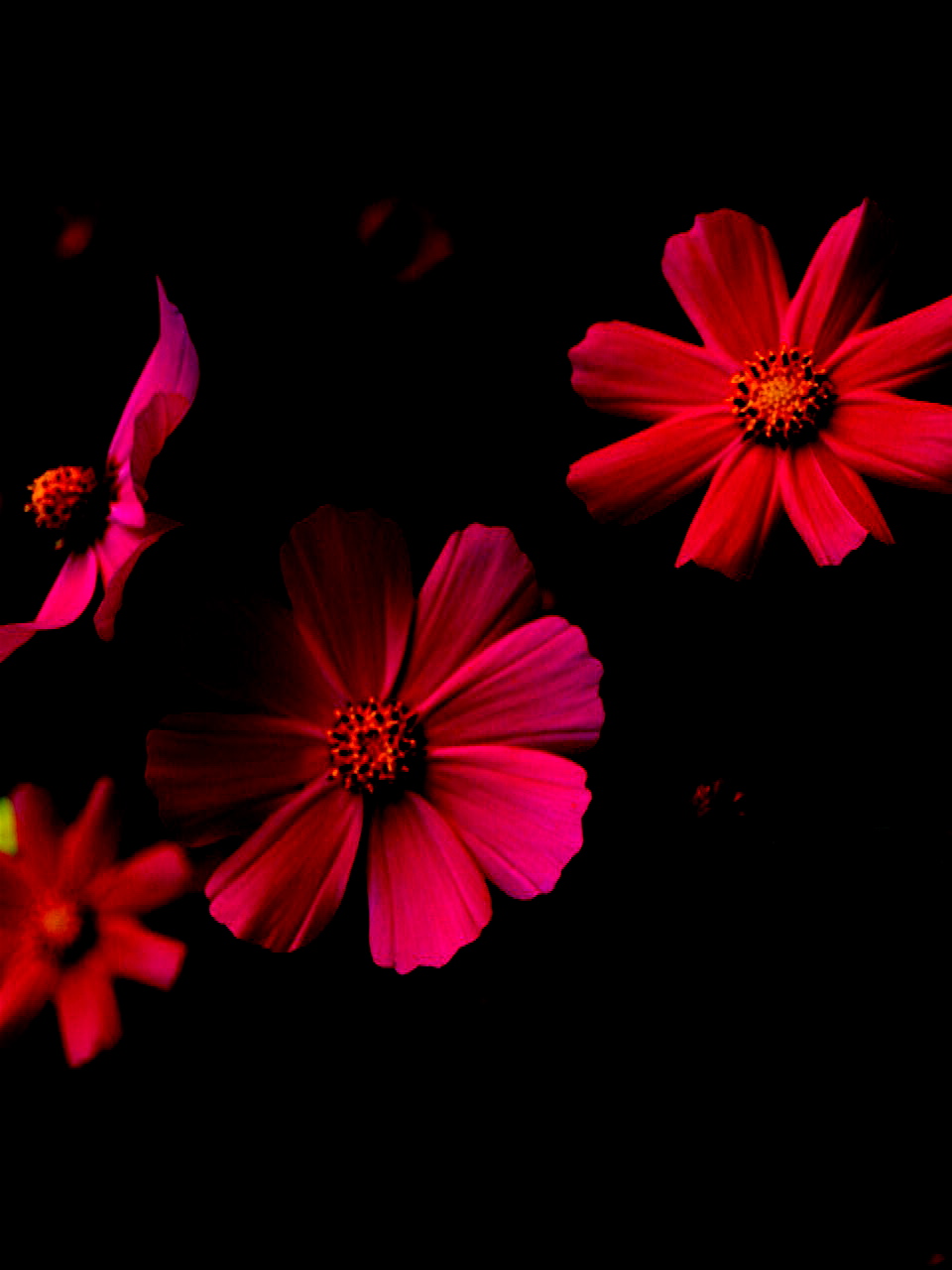 a0157704_3173079.jpg