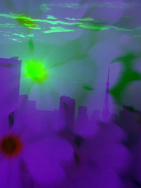 a0157704_3301557.jpg