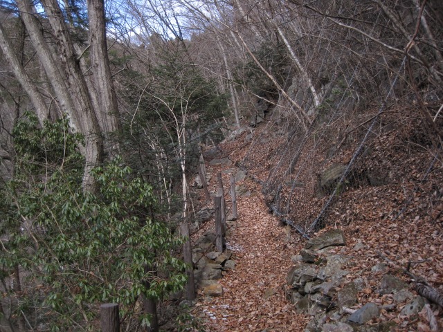 e0183804_0312252.jpg