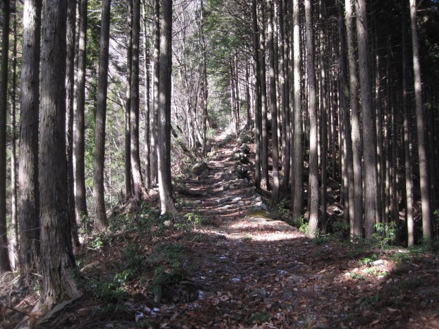e0183804_0351141.jpg