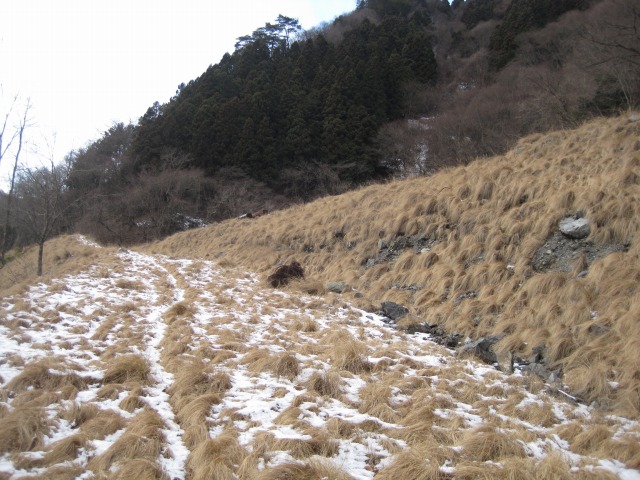 e0183804_0384385.jpg